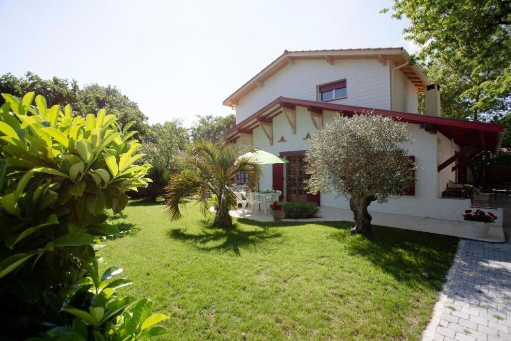 Villa Robert Shumann, A 700 M De La Plage Andernos-les-Bains ภายนอก รูปภาพ