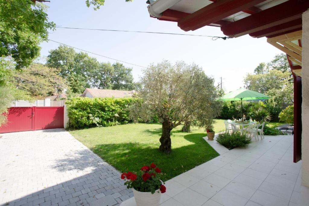 Villa Robert Shumann, A 700 M De La Plage Andernos-les-Bains ภายนอก รูปภาพ